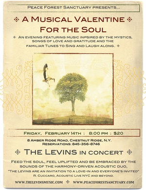The Levins Valentine039s Concert